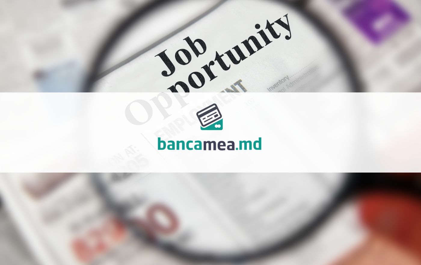 Alatura-te Bancamea.md: cautam specialist cu sau fara experienta în finante si banci