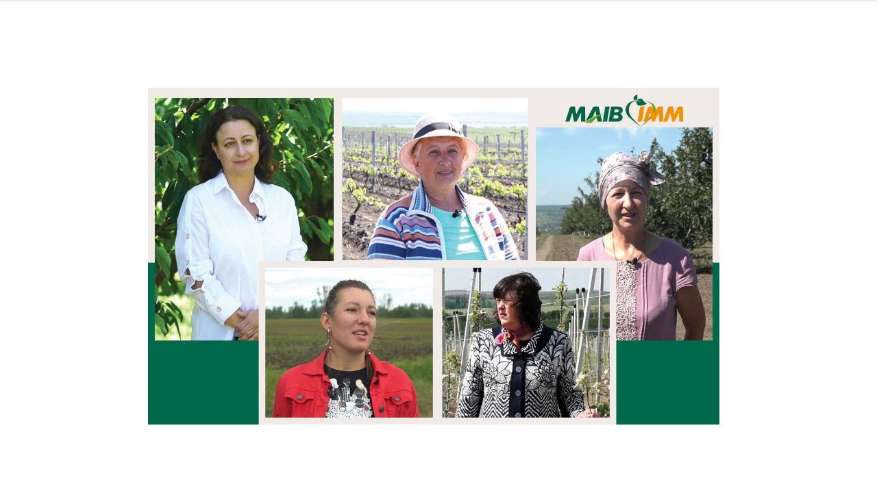 Banner-femei-business-women-3_maib