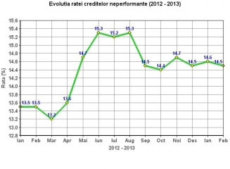 RCN-feb-2013