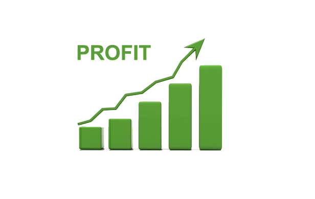 profit1